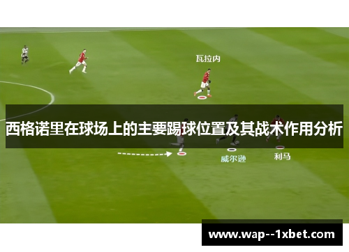 西格诺里在球场上的主要踢球位置及其战术作用分析